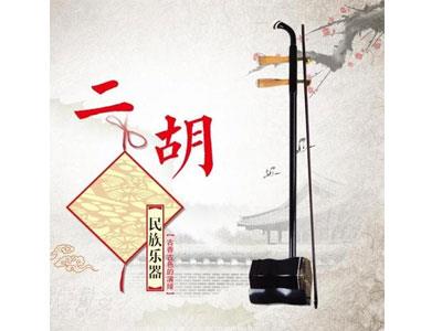 招聘金华二胡家教老师